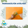 Ilgaz Anaokulu