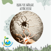 ILGAZ ANAOKULU